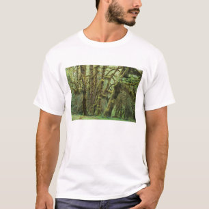 WA, Olympic NP, Hoh Rain Forest, Hall of T-Shirt