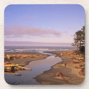 WA, Olympic NP, Kalaloch Beach and Kalaloch Coaster