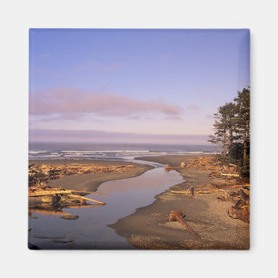WA, Olympic NP, Kalaloch Beach and Kalaloch Magnet