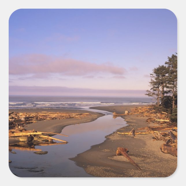 WA, Olympic NP, Kalaloch Beach and Kalaloch Square Sticker (Front)