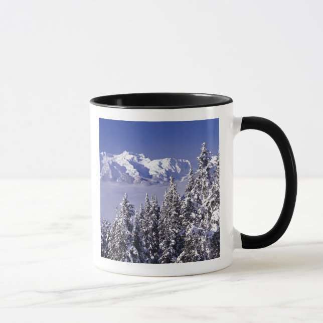 WA, Olympic NP, Olympic Mountain Range, view Mug (Right)