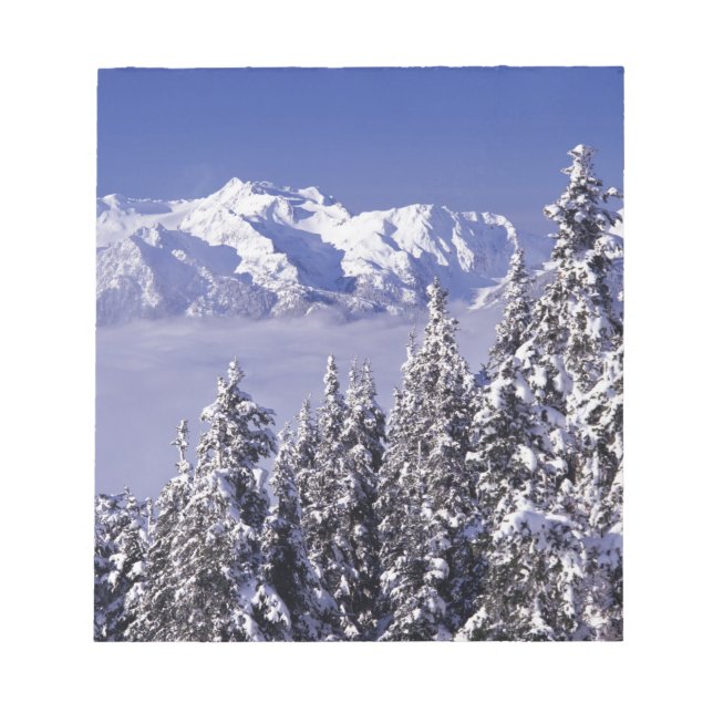 WA, Olympic NP, Olympic Mountain Range, view Notepad (Front)