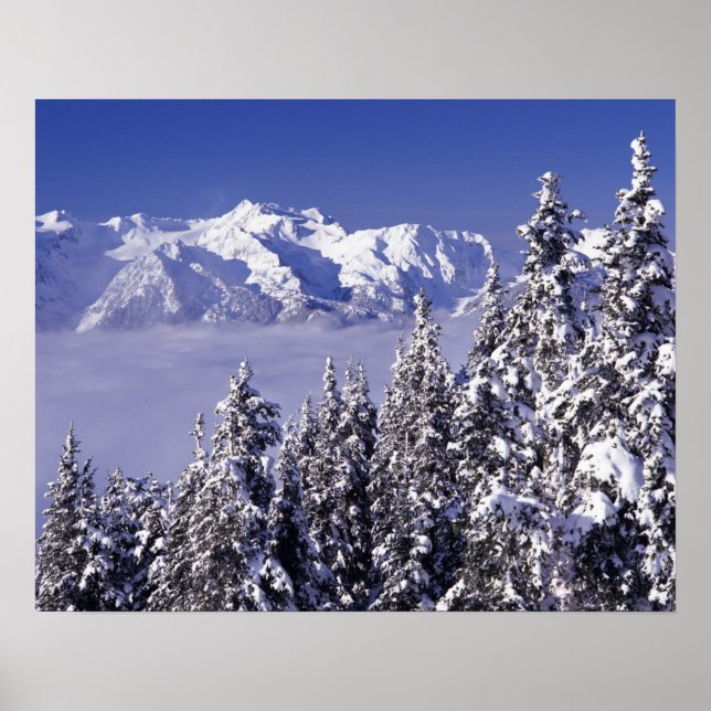 WA, Olympic NP, Olympic Mountain Range, view Poster (Front)