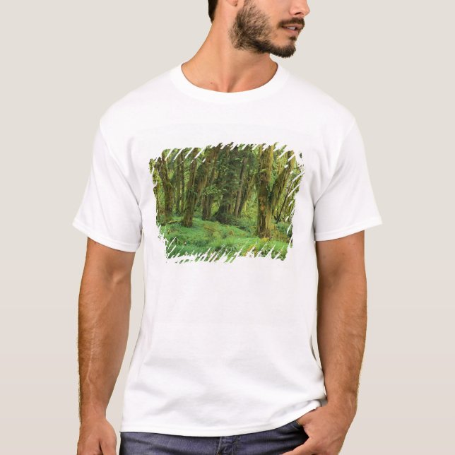 WA, Olympic NP, Quinault Rain Forest, moss T-Shirt (Front)