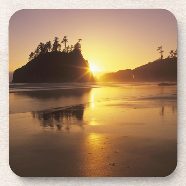 WA, Olympic NP, Second Beach at sunset Coaster (Front)