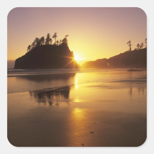 WA, Olympic NP, Second Beach at sunset Square Sticker (Front)