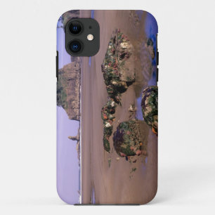 WA, Olympic NP, Second Beach with tidepools and iPhone 11 Case