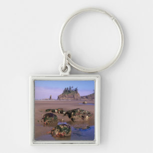 WA, Olympic NP, Second Beach with tidepools and Key Ring