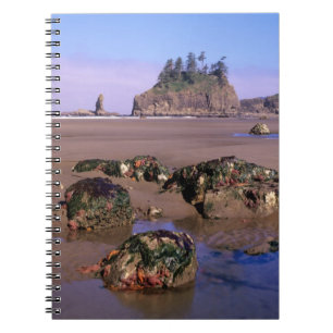 WA, Olympic NP, Second Beach with tidepools and Notebook