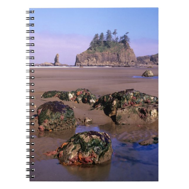 WA, Olympic NP, Second Beach with tidepools and Notebook (Front)