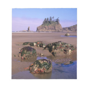 WA, Olympic NP, Second Beach with tidepools and Notepad