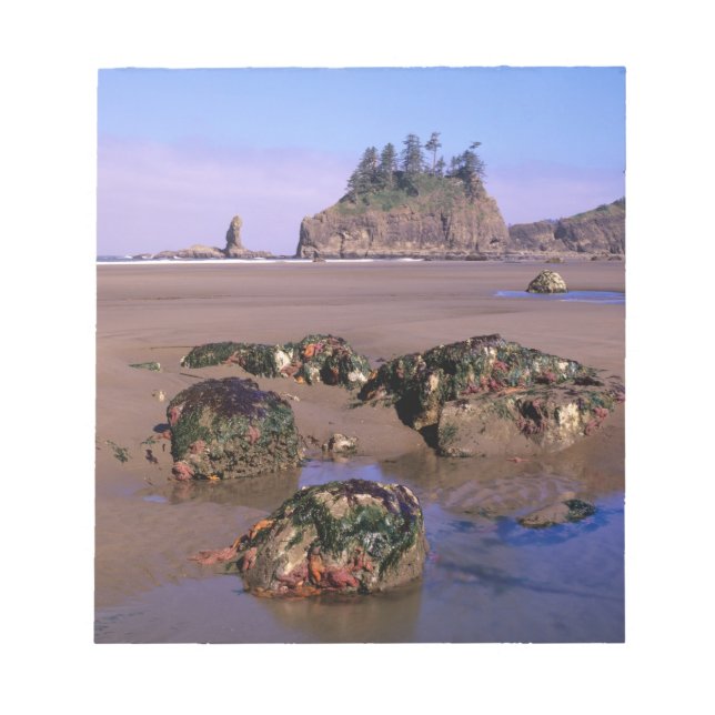 WA, Olympic NP, Second Beach with tidepools and Notepad (Front)