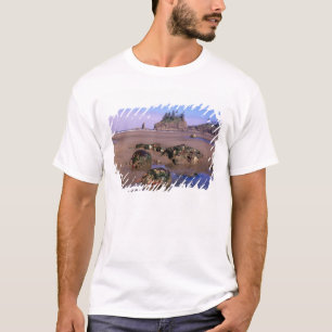 WA, Olympic NP, Second Beach with tidepools and T-Shirt