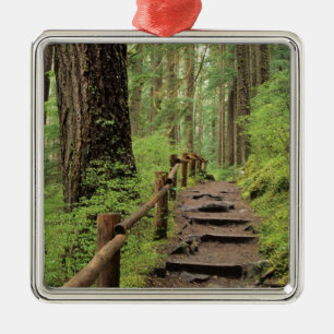 WA, Olympic NP, Sol Duc Valley, rainforest Metal Tree Decoration