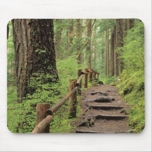 WA, Olympic NP, Sol Duc Valley, rainforest Mouse Pad