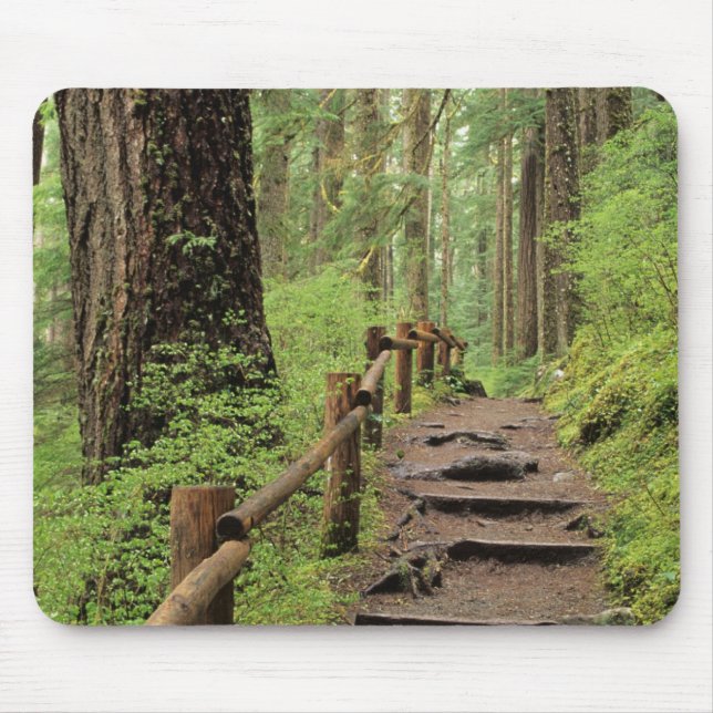 WA, Olympic NP, Sol Duc Valley, rainforest Mouse Pad (Front)