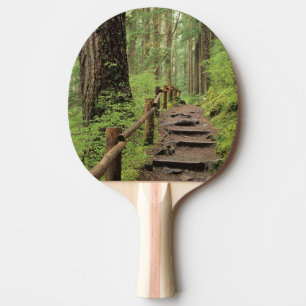 WA, Olympic NP, Sol Duc Valley, rainforest Ping Pong Paddle