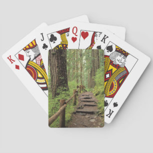 WA, Olympic NP, Sol Duc Valley, rainforest Playing Cards