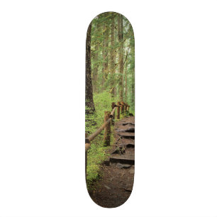 WA, Olympic NP, Sol Duc Valley, rainforest Skateboard