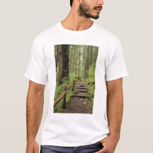 WA, Olympic NP, Sol Duc Valley, rainforest T-Shirt