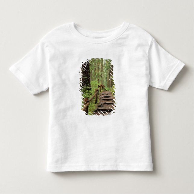 WA, Olympic NP, Sol Duc Valley, rainforest Toddler T-Shirt (Front)