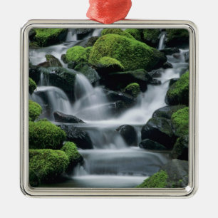 WA, Olympic NP, Sol Duc Valley, stream with Metal Tree Decoration