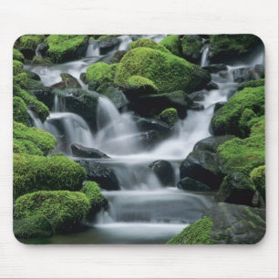 WA, Olympic NP, Sol Duc Valley, stream with Mouse Pad
