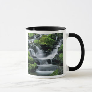 WA, Olympic NP, Sol Duc Valley, stream with Mug