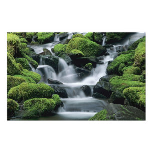 WA, Olympic NP, Sol Duc Valley, stream with Photo Print