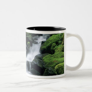 WA, Olympic NP, Sol Duc Valley, stream with Two-Tone Coffee Mug