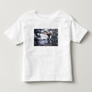 WA, Seattle, Moon bridge and pond after winter 2 Toddler T-Shirt