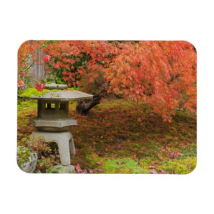WA, Seattle, Washington Park Arboretum, Japanese 2 Magnet