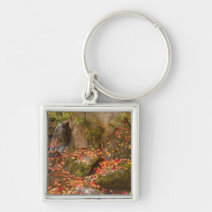 WA, Seattle, Washington Park Arboretum, Japanese Key Ring