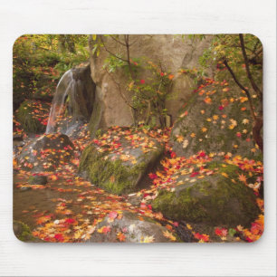 WA, Seattle, Washington Park Arboretum, Japanese Mouse Pad