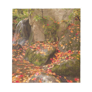 WA, Seattle, Washington Park Arboretum, Japanese Notepad