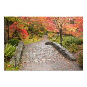 WA, Seattle, Washington Park Arboretum, Photo Print