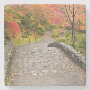 WA, Seattle, Washington Park Arboretum, Stone Coaster