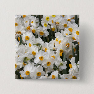 WA, Skagit Valley, Daffodil pattern 15 Cm Square Badge