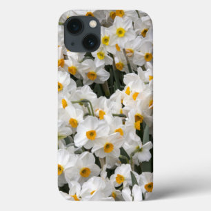 WA, Skagit Valley, Daffodil pattern iPhone 13 Case