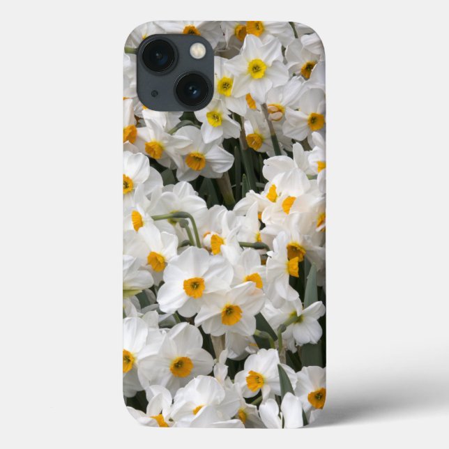 WA, Skagit Valley, Daffodil pattern Case-Mate iPhone Case (Back)