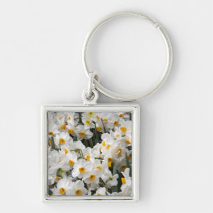 WA, Skagit Valley, Daffodil pattern Key Ring