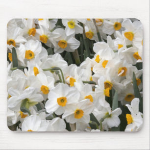 WA, Skagit Valley, Daffodil pattern Mouse Pad