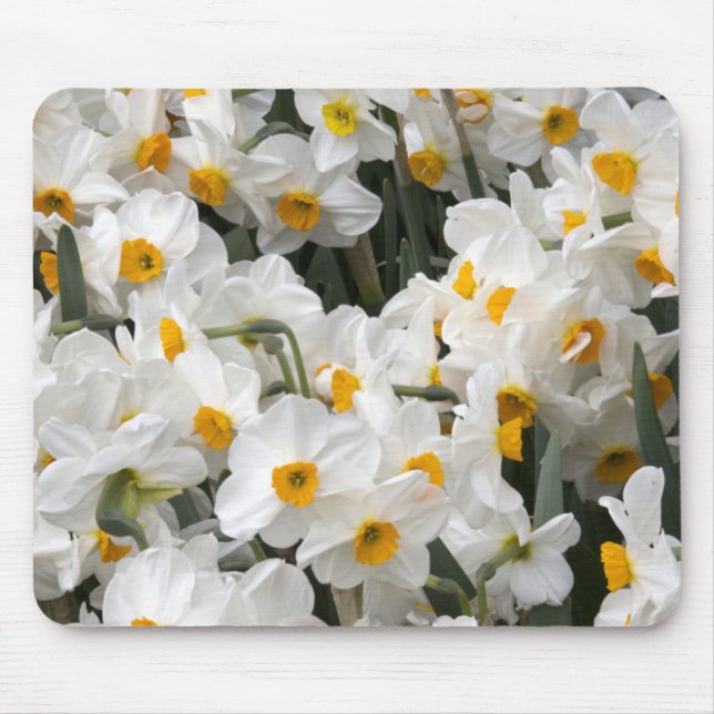 WA, Skagit Valley, Daffodil pattern Mouse Pad (Front)