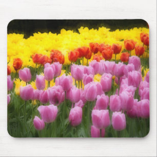 WA, Skagit Valley, Roozengaarde Tulip Garden, 2 Mouse Pad