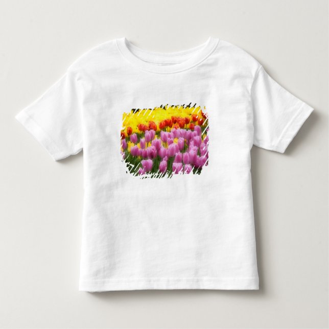 WA, Skagit Valley, Roozengaarde Tulip Garden, 2 Toddler T-Shirt (Front)