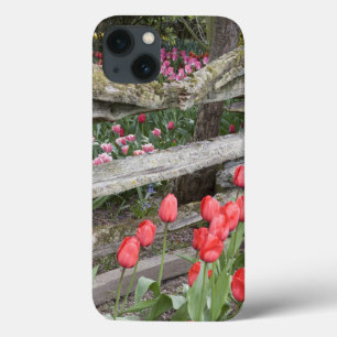 WA, Skagit Valley, Roozengaarde Tulip Garden, iPhone 13 Case