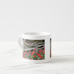 WA, Skagit Valley, Roozengaarde Tulip Garden, Espresso Cup