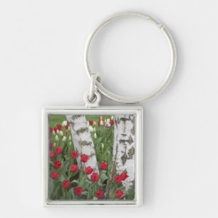 WA, Skagit Valley, Roozengaarde Tulip Garden Key Ring