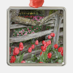 WA, Skagit Valley, Roozengaarde Tulip Garden, Metal Tree Decoration