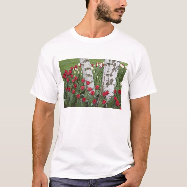 WA, Skagit Valley, Roozengaarde Tulip Garden T-Shirt (Front)